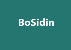 BoSidin promo codes