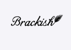 Brackish promo codes