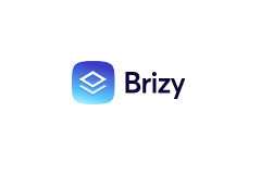 Brizy promo codes