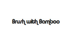 Brush with Bamboo promo codes