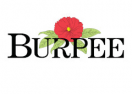 Burpee logo