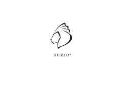 Buzio promo codes