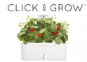 Clickandgrow.com