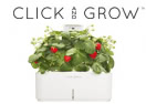 Click & Grow logo