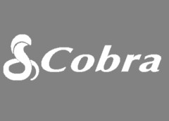 Cobra Electronics promo codes