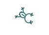 Copamarina Beach Resort & Spa