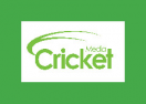 Cricket Media logo