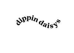 Dippin Daisys promo codes