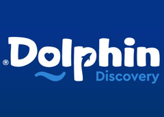 Dolphin Discovery promo codes