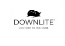 DOWNLITE logo