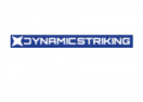 Dynamic Striking logo