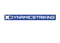 Dynamic Striking promo codes