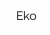 Eko coupons