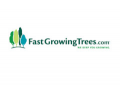 Fast-growing-trees.com
