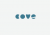 Cove coupons