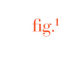 Fig-1