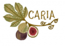 Caria logo