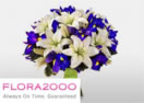 Flora2000 logo