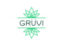 Gruvi logo