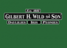 Gilbert H. Wild and Son logo