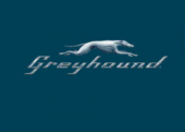 Greyhound