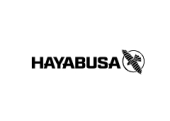 Hayabusafight