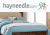 Hayneedle coupons