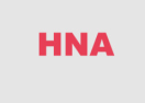 HNA Hair logo
