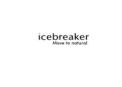 Icebreaker promo codes