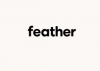 Feather promo codes