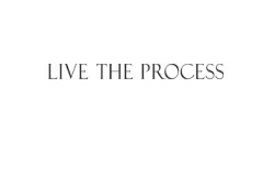 Live The Process promo codes
