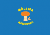Malamamushrooms