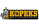 Kopeks logo