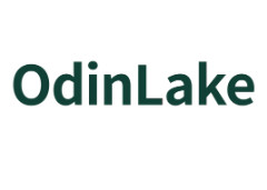 OdinLake promo codes