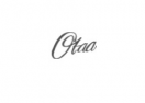 OTAA logo