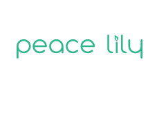 Peace Lily Sleep promo codes