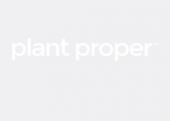 Plantproper