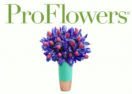 ProFlowers logo