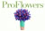ProFlowers coupons