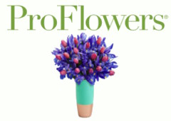 ProFlowers promo codes