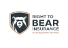 Right To Bear promo codes