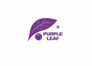 Purple Leaf logo