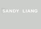 Sandy Liang logo