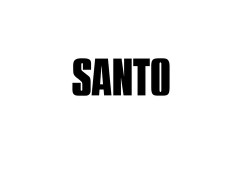 Santo promo codes