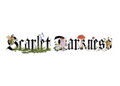 Scarlet Darkness promo codes