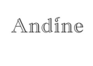 Andine logo