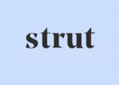 Struthealth
