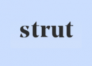 Strut logo