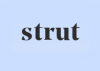 Strut