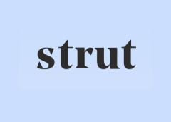 Strut promo codes